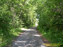 HWY 60 #18 - © Cameron Bevers