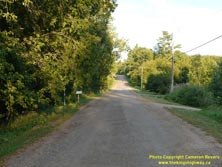 HWY 60 #196 - © Cameron Bevers