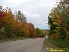 HWY 60 #205 - © Cameron Bevers