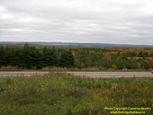 HWY 60 #207 - © Cameron Bevers