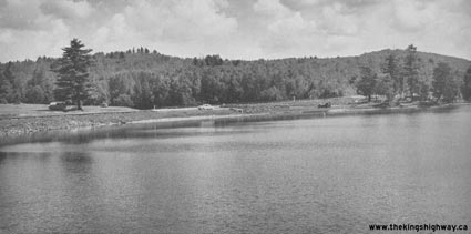 HWY 60 #239