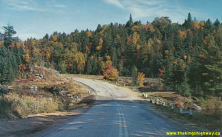 HWY 60 #318