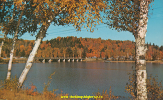 HWY 60 #324