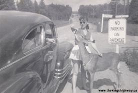 HWY 60 #328