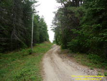 HWY 62 #189 - © Cameron Bevers