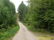 HWY 62 #36 - © Cameron Bevers