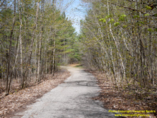 HWY 169 #143 - © Cameron Bevers