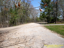 HWY 169 #147 - © Cameron Bevers