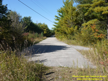 HWY 169 #96 - © Cameron Bevers