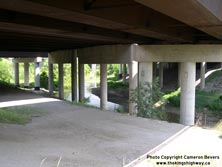 HWY 401 #239 - © Cameron Bevers