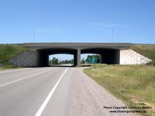 HWY 401 #339 - © Cameron Bevers