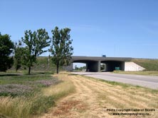 HWY 401 #343 - © Cameron Bevers