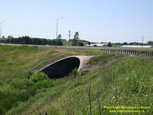 HWY 401 #344 - © Cameron Bevers