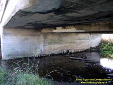 HWY 89 #62 - © Cameron Bevers