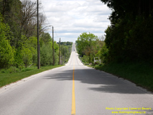 HWY 89 #95 - © Cameron Bevers