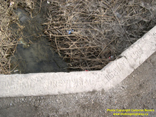 HWY 98 #25 - © Cameron Bevers