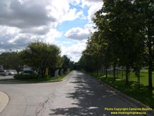 HWY 401 #282 - © Cameron Bevers