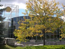 HWY 401 #287 - © Cameron Bevers