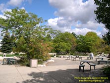 HWY 401 #291 - © Cameron Bevers