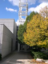 HWY 401 #294 - © Cameron Bevers