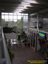 HWY 401 #303 - © Cameron Bevers