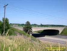 HWY 401 #938 - © Cameron Bevers