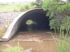 QEW #218 - © Cameron Bevers