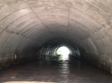 QEW #219 - © Cameron Bevers