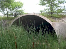 QEW #220 - © Cameron Bevers