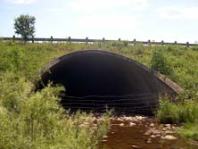 QEW #258 - © Cameron Bevers