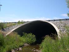 QEW #259 - © Cameron Bevers