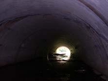 QEW #262 - © Cameron Bevers