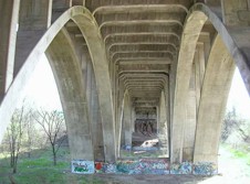 QEW #73 - © Cameron Bevers