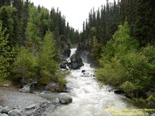 ALASKA HWY 10 #9 - © Cameron Bevers