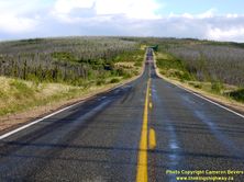 ALASKA HWY 5 #3 - © Cameron Bevers