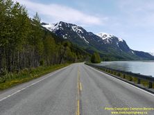 ALASKA HWY 7 #19 - © Cameron Bevers