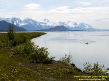 ALASKA HWY 7 #24 - © Cameron Bevers