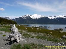 ALASKA HWY 7 #46 - © Cameron Bevers