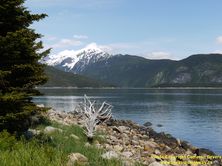ALASKA HWY 7 #56 - © Cameron Bevers