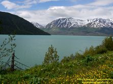 ALASKA 9 #23 - © Cameron Bevers