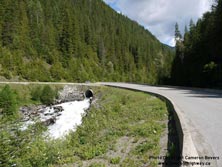 BRITISH COLUMBIA HWY 31A #9 - © Cameron Bevers