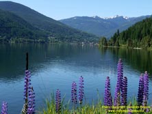 BRITISH COLUMBIA HWY 3A #40 - © Cameron Bevers