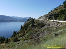 BRITISH COLUMBIA HWY 97 #89 - © Cameron Bevers